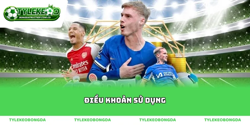 Phân tích hệ thống điều khoản sử dụng và cơ chế bảo mật