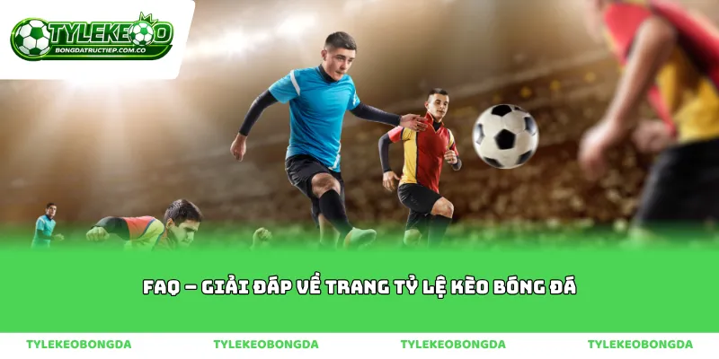 FAQ – Giải Đáp Về Trang Tỷ Lệ Kèo Bóng Đá
