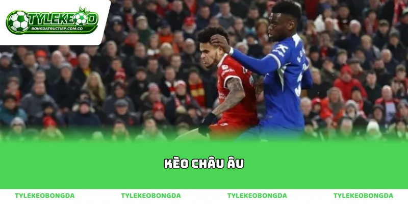 Quy trình nhận diện kèo châu âu chuẩn xác