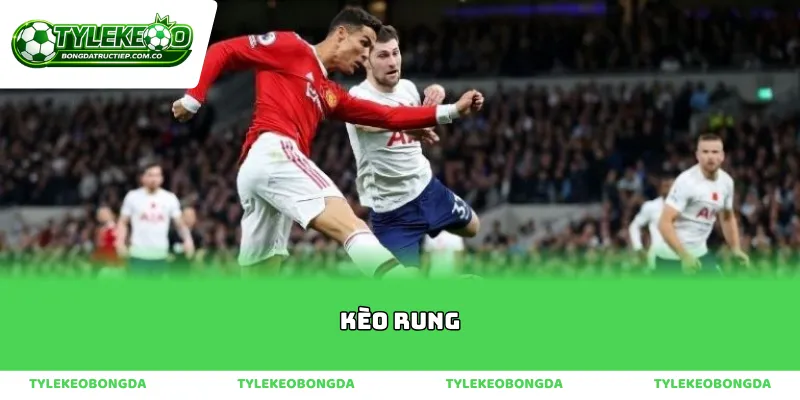 Phân tích biến động dữ liệu trong trận khi đánh kèo rung