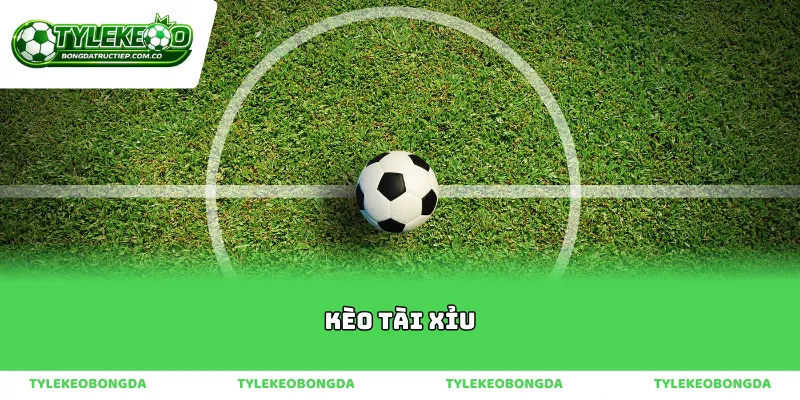 Nghệ thuật đọc vị kèo tài xỉu trong từng khoảnh khắc