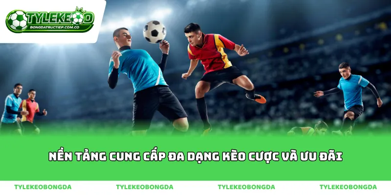 Nền tảng cung cấp đa dạng kèo cược và ưu đãi